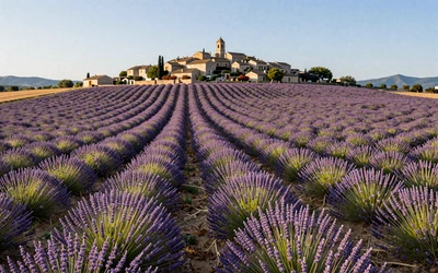 Provence lavender fields with hilltop village - romantic region for dating French women